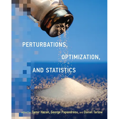 Perturbations, Optimization, and Statistics - Paperback