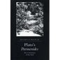 Plato's Parmenides: The Conversion of the Soul - Paperback
