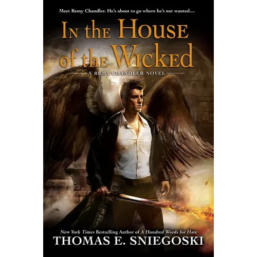 In the House of the Wicked - Paperback