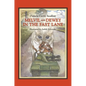 Melvil and Dewey in the Fast Lane - Paperback