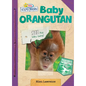 Baby Orangutan - Library Binding
