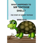 What happened to Mr TOITOISE SHELL?: The story of greedy toitoise - Paperback