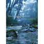This Language, a River: A History of English - Paperback