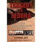 Tragedy in Sedona: My Life in James Arthur Ray's Inner Circle - Paperback