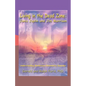 Living in the Dead Zone: Janis Joplin and Jim Morrison: Understanding Borderline Personality Disorder - Paperback