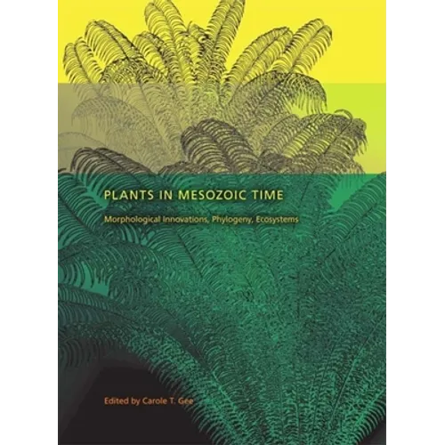 Plants in Mesozoic Time: Morphological Innovations, Phylogeny, Ecosystems - Hardcover