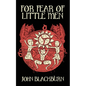 For Fear of Little Men - Paperback
