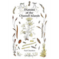 Diatoms of the Channel Islands - Paperback