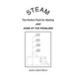 Steam: The Perfect Fluid for Heating and Some of the Problems - Paperback