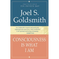 Consciousness Is What I Am - Paperback