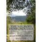 The Negroes in Negroland: The Negroes in America; and Negroes Generally. Also, the Several Races of White Men, Considered as the Involuntary and - Paperback