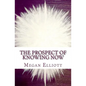 The Prospect of Knowing Now - Paperback