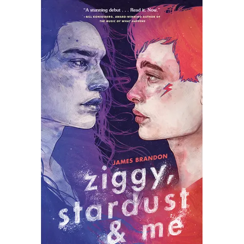 Ziggy, Stardust and Me - Paperback