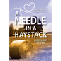 A Needle in a Haystack: How to Find Love in the Rubble - Hardcover