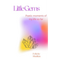 Little Gems - Paperback