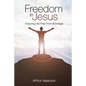 Freedom in Jesus: Enjoying Life Free From Bondage - Paperback