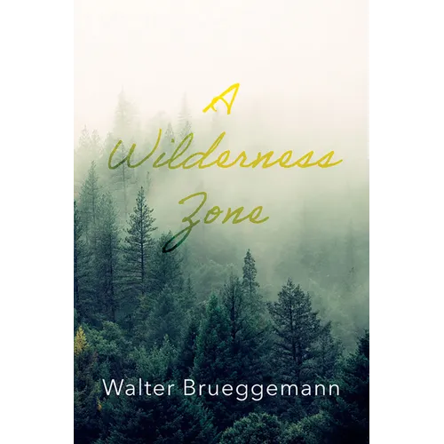 A Wilderness Zone - Paperback