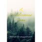 A Wilderness Zone - Paperback
