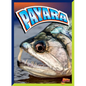 Payara - Hardcover