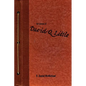 The Journal of David Q. Little - Paperback