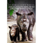 Animals, Fish and Birds, Oh My! Life In The Borneo Jungle - Curious Kids Press: Kids book about animals and wildlife, Children's books 4-6 - Paperback