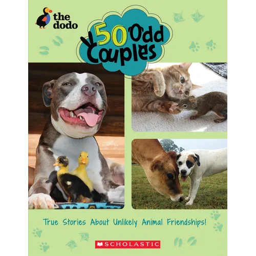 50 Odd Couples (the Dodo) - Paperback