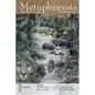 Metaphorosis November 2022 - Paperback