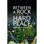 Between a Rock and a Hard Place: Public Theology in a Post-Secular Age - Hardcover