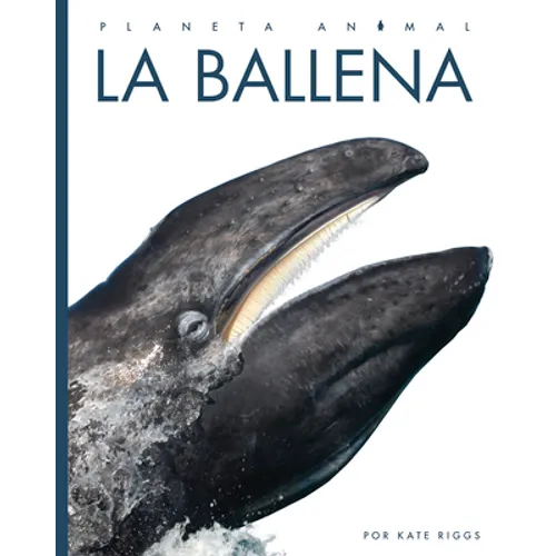 La Ballena - Paperback