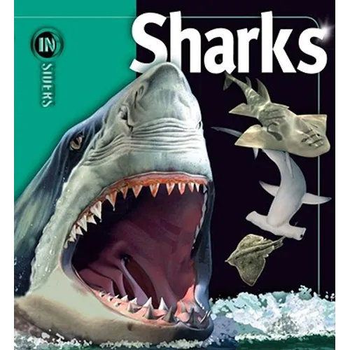 Sharks - Hardcover