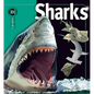 Sharks - Hardcover