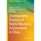 Development Practice of Digital Business Environment in China - Paperback