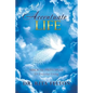 Accentuate Life - Paperback