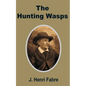 The Hunting Wasps - Paperback