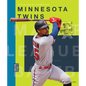 Minnesota Twins - Hardcover
