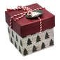 Gift Box Cube for Gift Cards - 3" x 3" -  Tree Farm