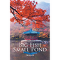 Big Fish Small Pond - Paperback