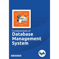Fundamentals of Database Management System: Learn essential concepts of Database Systems - Paperback