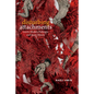 Disturbing Attachments: Genet, Modern Pederasty, and Queer History - Paperback