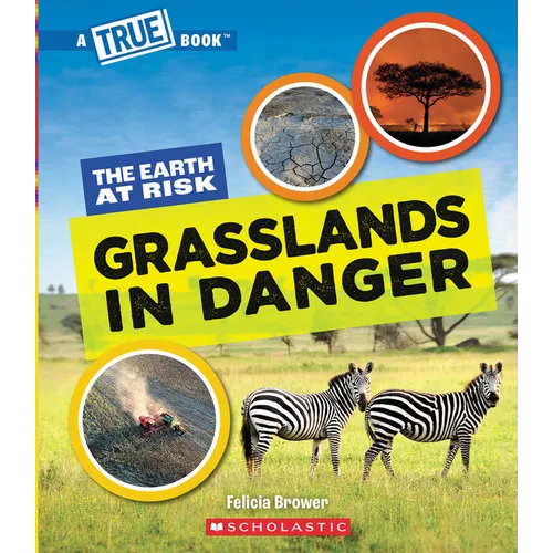 Grasslands in Danger (a True Book: The Earth at Risk) - Paperback