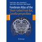 Forebrain Atlas of the Short-Tailed Fruit Bat, Carollia Perspicillata: Prepared by the Methods of Nissl and Neun Immunohistochemistry - Spiral