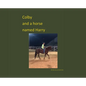 Colby and a horse named Harry - Hardcover