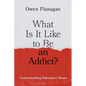What Is It Like to Be an Addict?: Understanding Substance Abuse - Hardcover