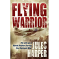Flying Warrior: My Life as a Naval Aviator During the Vietnam War - Paperback