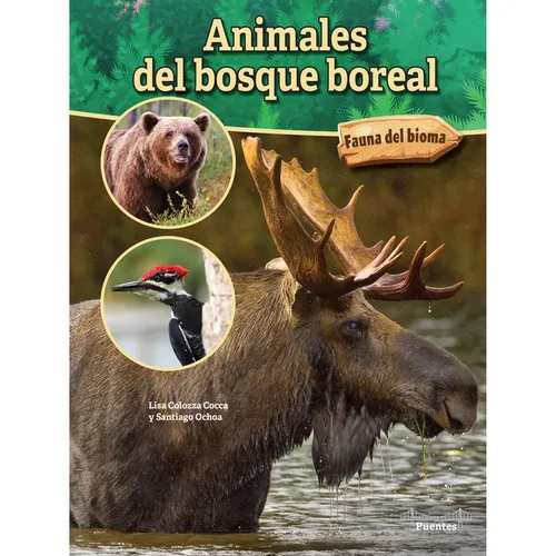 Animales del Bosque Boreal: Boreal Forest Animals - Hardcover