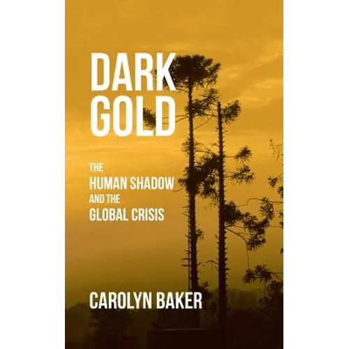 Dark Gold: The Human Shadow and the Global Crisis - Paperback