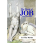 The Book of Job: A New Translation - Paperback