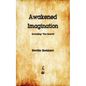 Awakened Imagination - Paperback