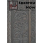 Skertru Now: Issue 1, March 2013 - Paperback