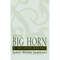 Little Big Horn: A Second Battle - Hardcover